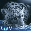 GaV